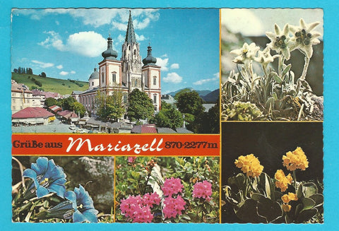 AK Grüße aus Mariazell.