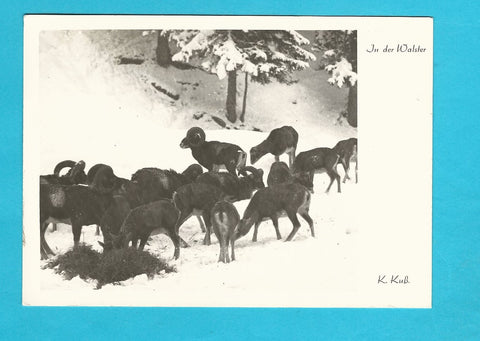 AK In der Walster.