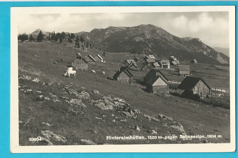 AK Hinteralmhütten gegen Schneealpe.