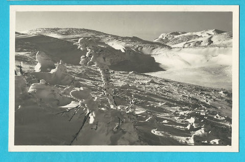 AK Schneealpe. Rauhreif. (1927)