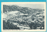 AK Mürzzuschlag. (1922)