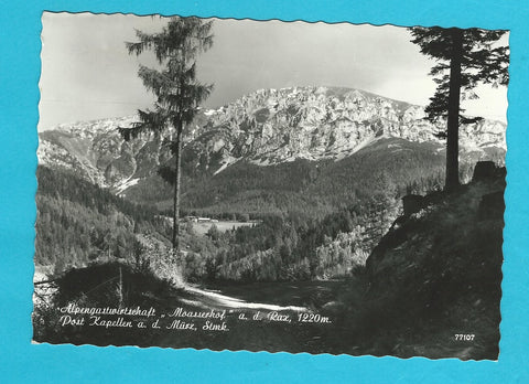 AK Alpengasthof Moasserhof an der Rax. Kapellen an der Mürz.