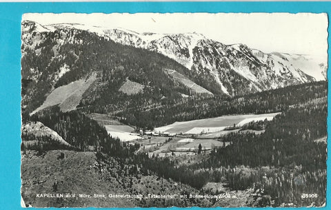 AK Kapellen an der Mürz, Gastwirtschaft Tatscherhof mit Schneealpe.