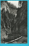 AK Frein an der Mürz. Partie beim Toten Weib. (1963)