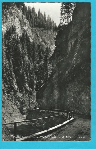AK Frein an der Mürz. Partie beim Toten Weib. (1963)