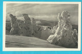 AK Stuhleck - Blick vom Aufstieg zum Güntherhaus gegen die Predulalpe. (1928)