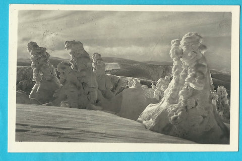 AK Stuhleck - Blick vom Aufstieg zum Güntherhaus gegen die Predulalpe. (1928)