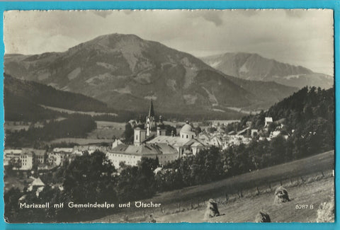 AK Mariazell.