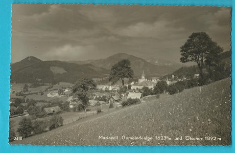 AK Mariazell.