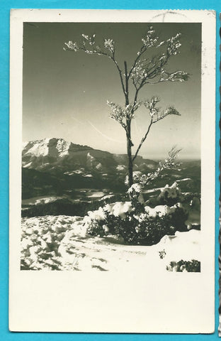 AK Gelaufen in Mariazell.