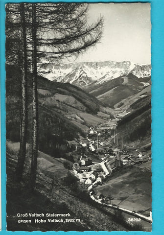 AK Groß Veitsch gegen Hohe Veitsch. (1960)