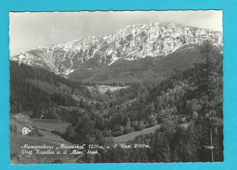 AK Alpengasthaus Moasserhof. Kapellen an der Mürz. (1965)