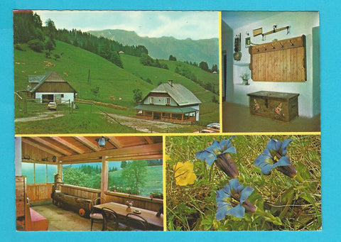 AK Neuberg/Mürz. Falkenstein-Alm mit Schneealmmassiv.