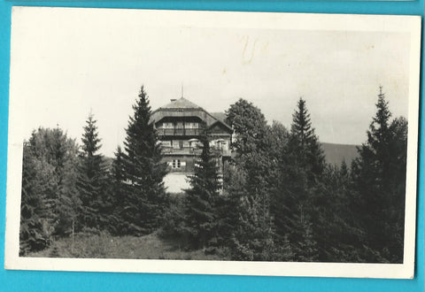 AK Gruß vom Alpenhotel Bärenkogel. bei Mürzzuschlag.