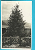 AK Krieglach. Peter Rosegger's Grabstätte.(1933-34)