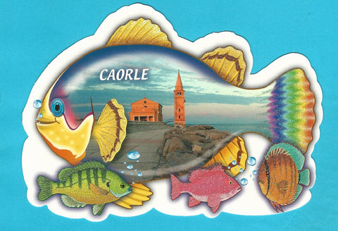 AK Caorle.