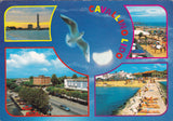 AK Cavallino Lido.