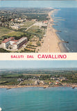 AK Saluti dal Cavallino.