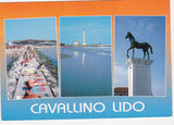 AK Cavallino Lido.