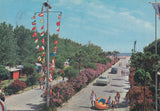 AK Cavallino. Camping UNION Lido.