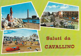 AK Saluti da Cavallino.
