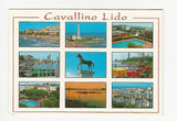 AK Cavallino Lido.