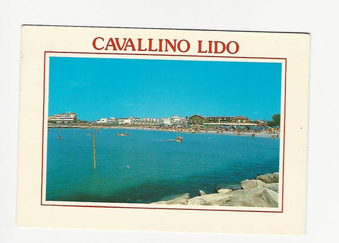 AK Cavallino.