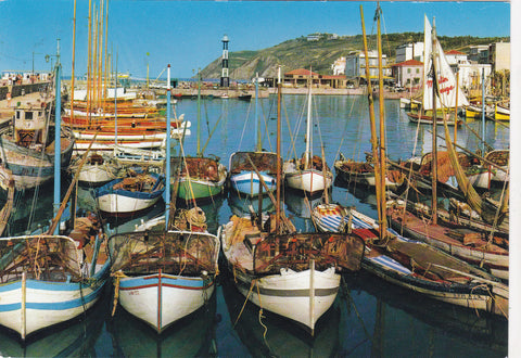 AK Cattolica. Il Porto.
