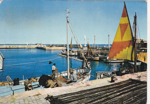 AK Cattolica. Il porto.