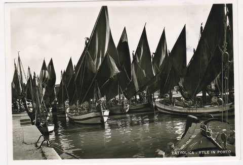 AK Cattolica - Vele in Porto.