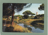 AK Milano Marittima. Pineta e canaletto.