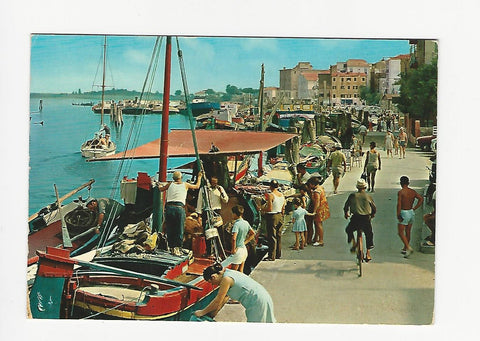 AK Lido di Sottomarina. Barche a riposo.