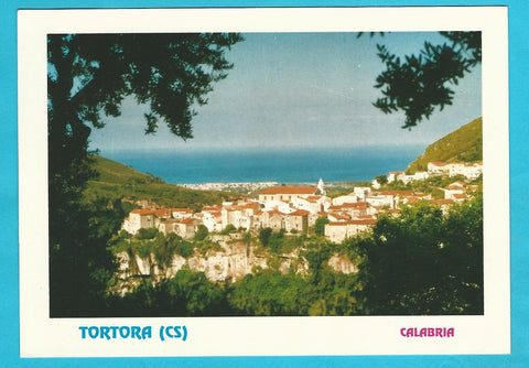 AK Tortora.