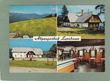 AK Schwanberg. Alpengasthof Lenzbauer. Inh. Josef u. Erika Freidl. Gressenberg 51 / Koralpe.