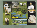 AK Deutschlandsberg, Prinzental. Gut Prinzental Franz Plackner / Christian Eisl.