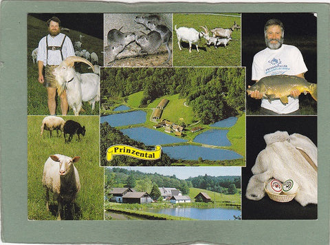 AK Deutschlandsberg, Prinzental. Gut Prinzental Franz Plackner / Christian Eisl.