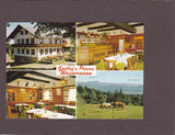 AK St. Stefan ob Stainz. Gasthof und Pension Wassermann. Sommereben/Reinischkogel.