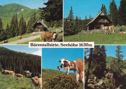 AK Bärentalhütte auf der Koralpe.