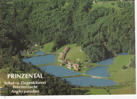 Werbe-AK Deutschlandsberg. Prinzental. Schaf- u. Ziegenkäserei Pelztierzucht Anglerparadies.