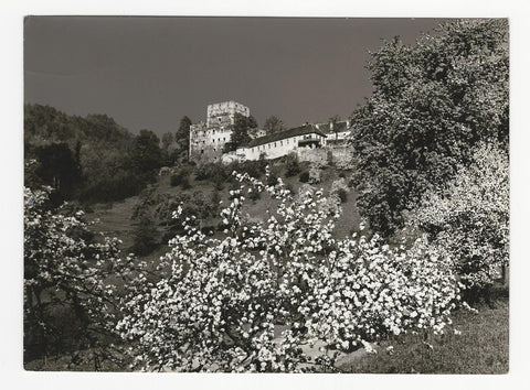 Foto Burg Deutschlandsberg.