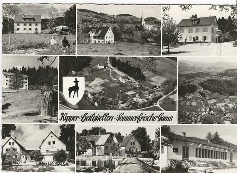 AK Kipper Heilquellen Sommerfrische Gams.