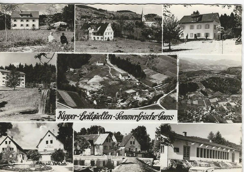 AK Kipper Heilquellen Sommerfrische Gams.