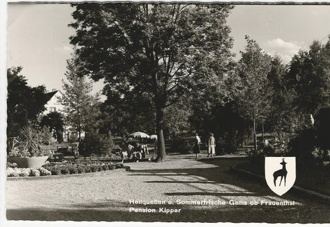 AK Heilquellen u. Sommerfrische Gams ob Frauenthal. Pension Kipper.