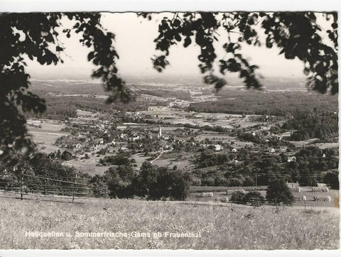 AK Heilquellen u. Sommerfrische Gams ob Frauenthal.