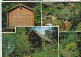 AK Waldlehrpfad Alpengarten St. Pongratzen-Großradl.