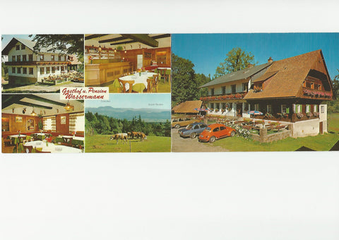 Doppel-Werbe-AK St. Stefan ob Stainz. Gasthof und Pension Wassermann. Sommereben/Reinischkogel.