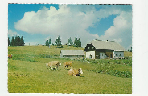 AK Brendlhütte auf der Koralpe.