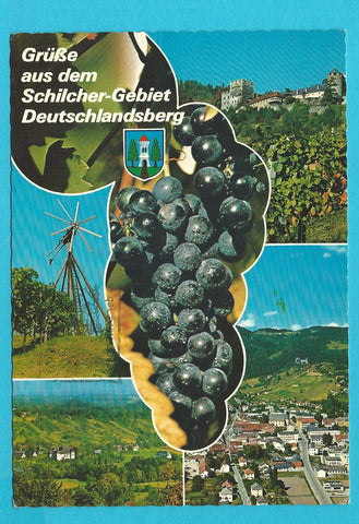 AK Grüße aus dem Schilcher-Gebiet Deutschlandsberg.