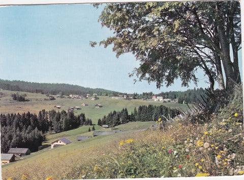 AK Bödele ob Dornbirn.