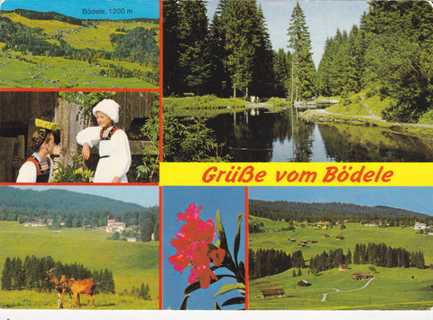 AK Grüße vom Bödele.